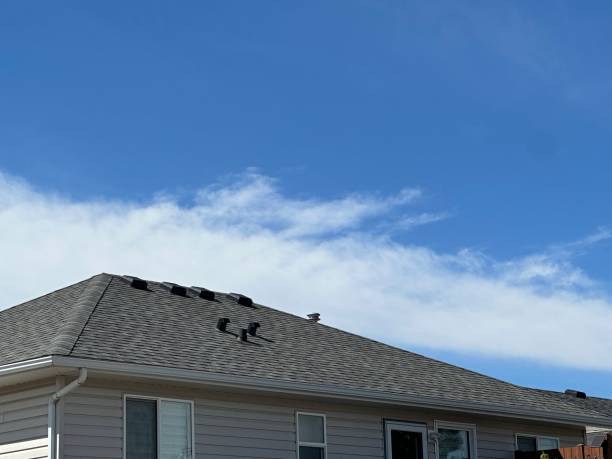 Best Gutter Installation and Repair  in Santa Rita Ranch, TX